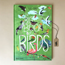 Load image into Gallery viewer, the-big-book-of-birds-greed-front-cover