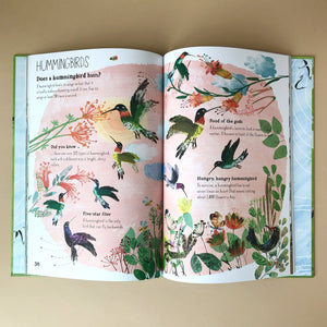 interior-page-hummingbirds