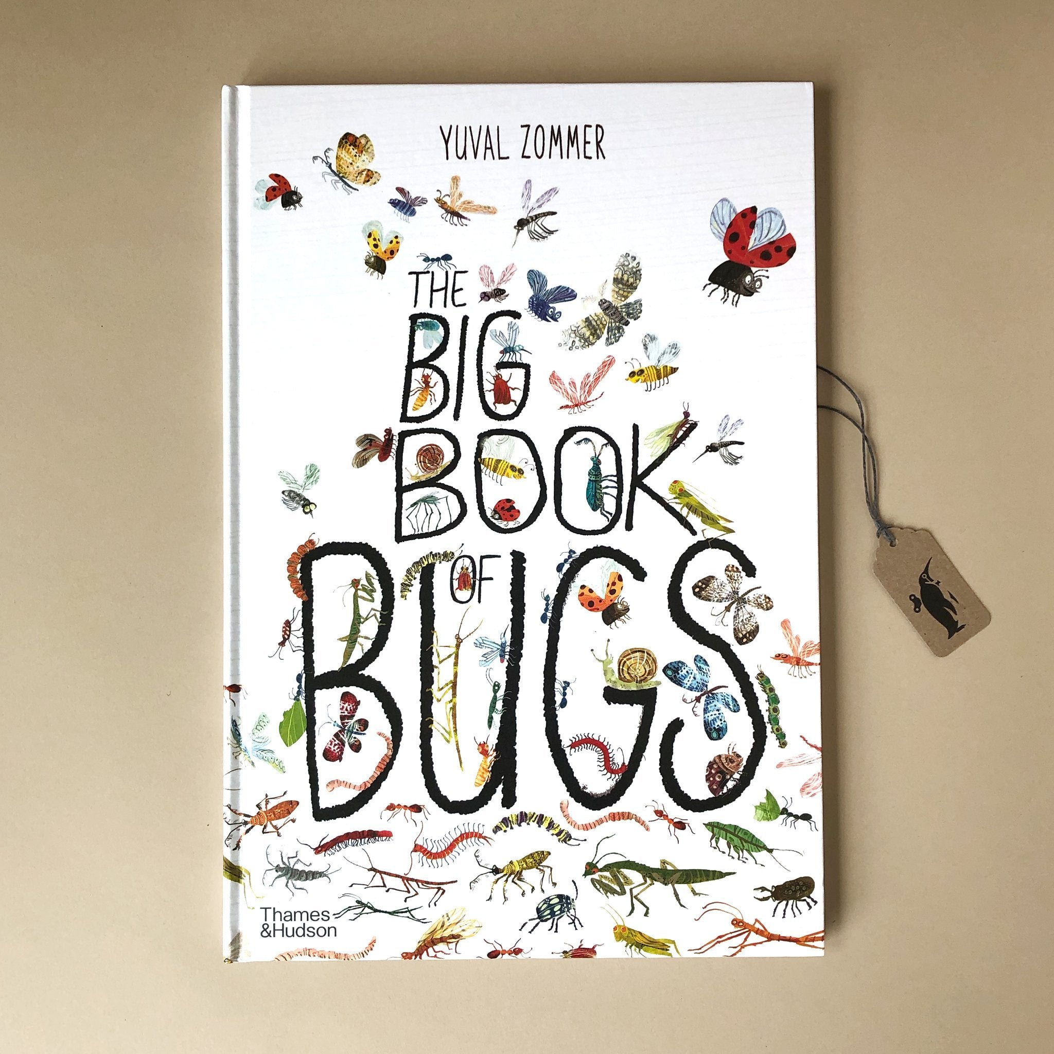 the-big-book-of-bugs-white-front-cover