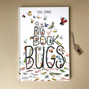 the-big-book-of-bugs-white-front-cover