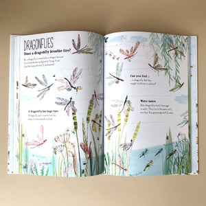 interior-page-dragonflies