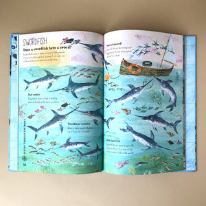 interior-page-swordfish