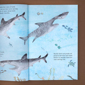 open-book-showing-sharks-on-blue-background-and-text-about-sharks