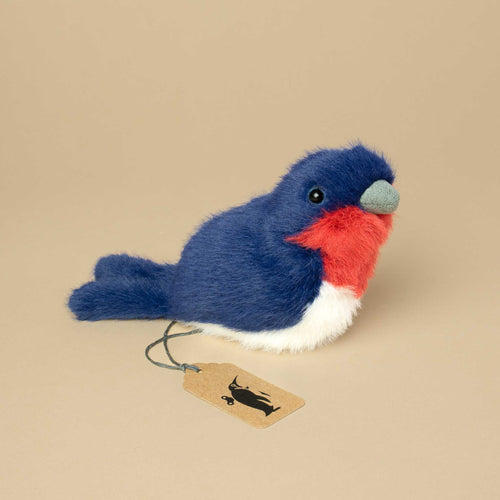 small-fluffy-bird-in-blue-red-and-white-with-grey-beak