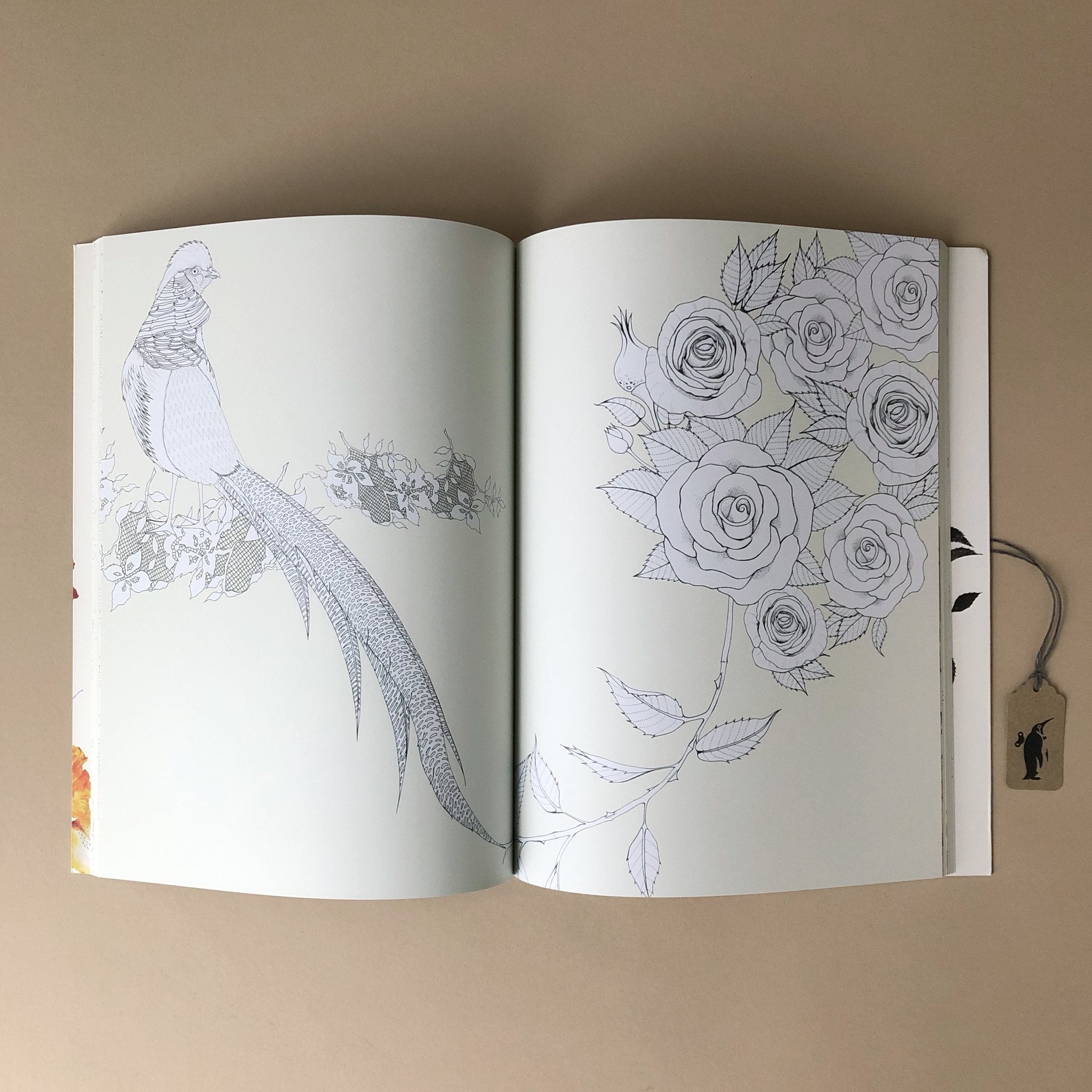 interior-page