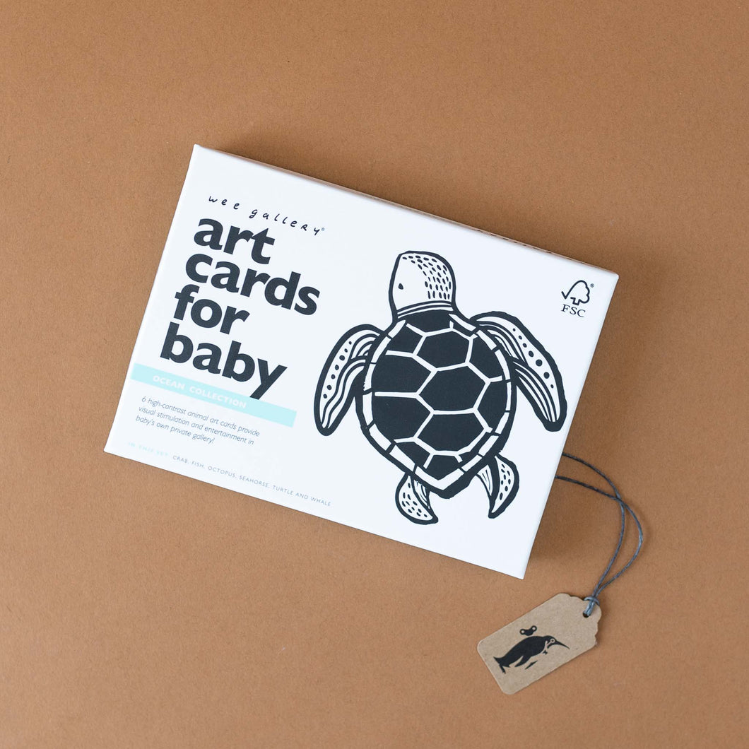 black-and-white-ocean-themed-art-cards-box-with-turtle-illustration
