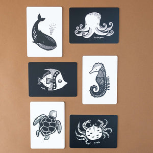whale-octopus-fish-seahorse-turtle-and-crab-black-and-white-cards