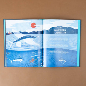 inside-pages-the-california-flying-fish