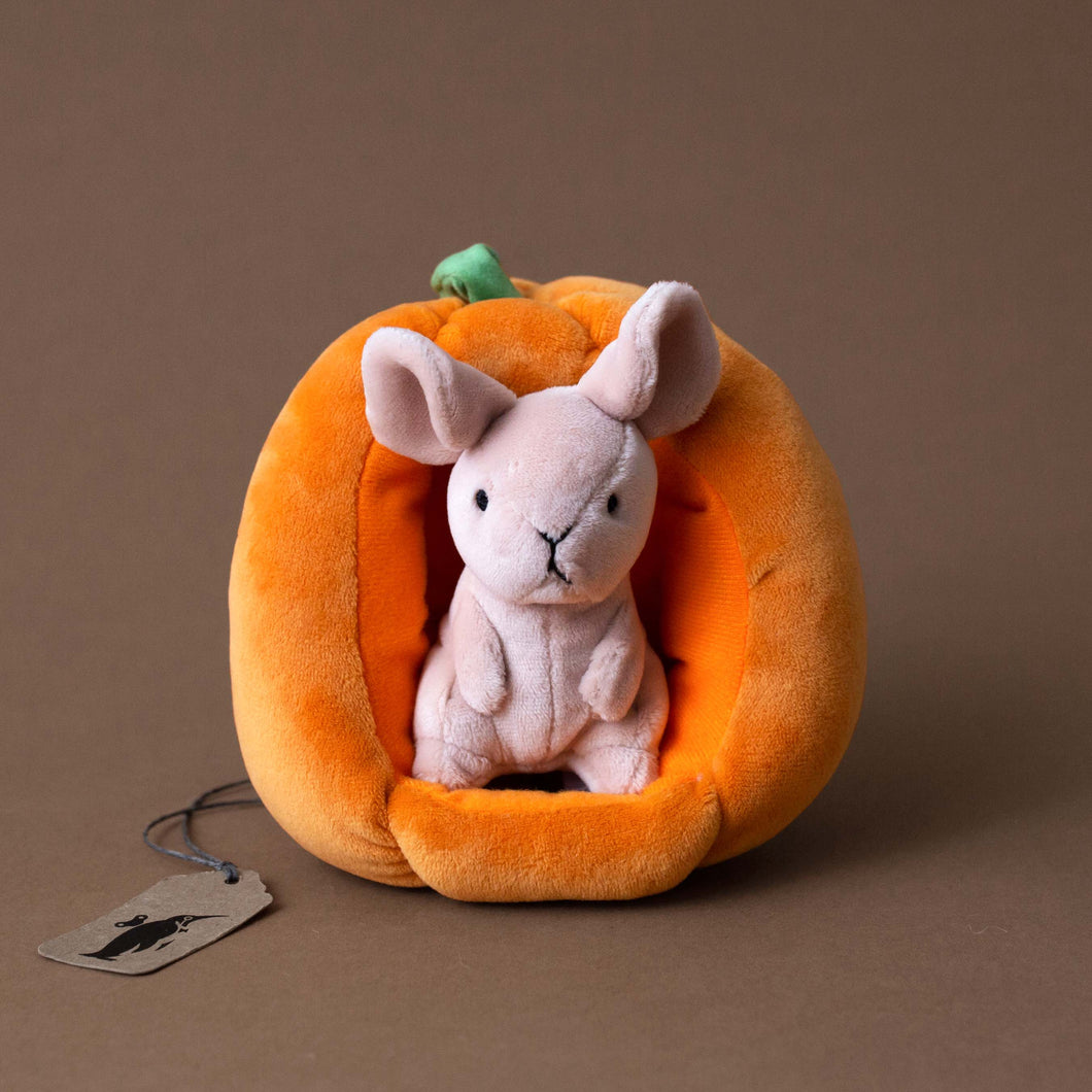 beige-stuffed-mouse-inside-stuffed-pumpkin