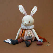 Load image into Gallery viewer, brume-activity-rabbit-stuffed-animal