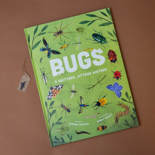  bugs-a-skittery-jittery-history-book-green-cover-with-various-bugs-spiders-beetles-butterflies-slugs-ants