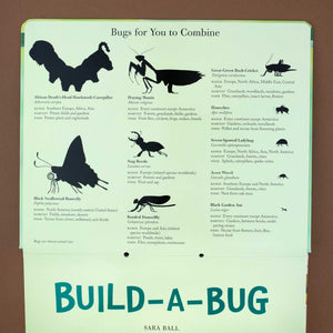detail-of-first-book-page-explaining-all-bugs-that-can-be-combined-with-each-other