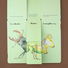 Load image into Gallery viewer, detail-of-book-inside-showing-three-different-sections-with-threedifferent-bugs-that-can-be-combined-to-one-animal