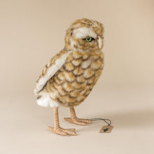 Load image into Gallery viewer, side-view-burrowing-owl