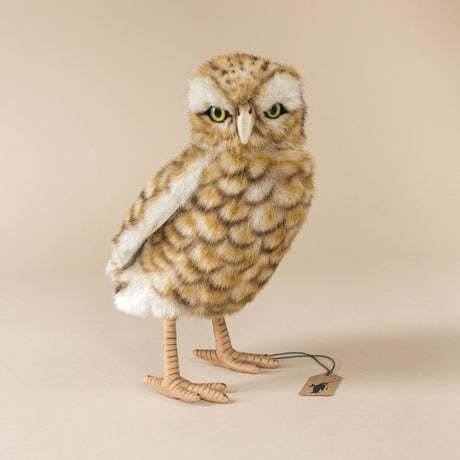 burrowing-owl-realistic-stuffed-animal