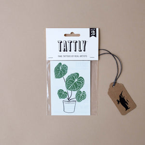 illustrated-potted-calathea-plant-temporary-tattoo-pair