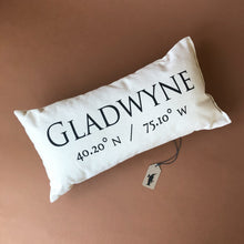 Load image into Gallery viewer, community-pillow-gladwyne-with-coordinates