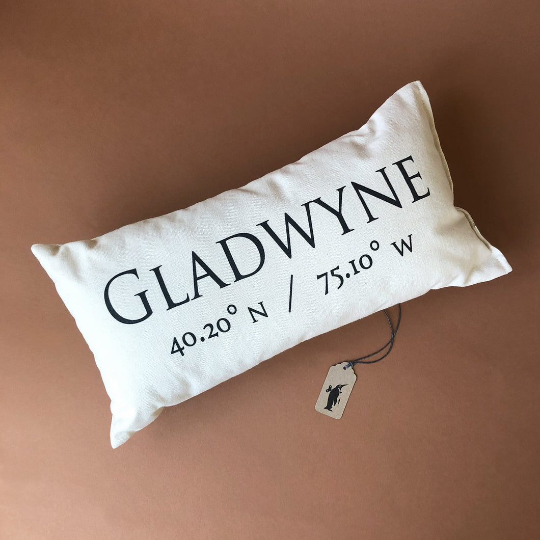 community-pillow-gladwyne-with-coordinates