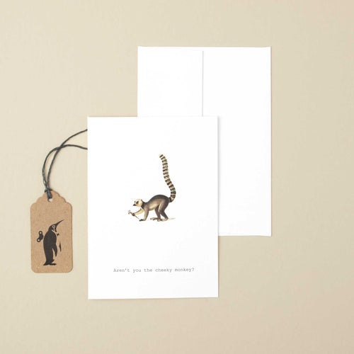 white-greeting-card-illustrated-ring-tail-lemur-and-black-text-reading-arent-you-the-cheeky-monkey