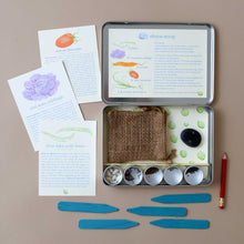 Load image into Gallery viewer, contents-of-stone-soup-set-instructions-recipe-card-garden-markers-pencil-and-seeds