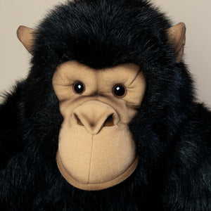 close-up-of-chimpanzee-face