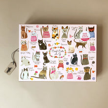 Load image into Gallery viewer, cool-cats-puzzle-featuring-illustration-of-cats-for-each-letter-of-the-alphabet-with-a-pink-background-with-flower-details