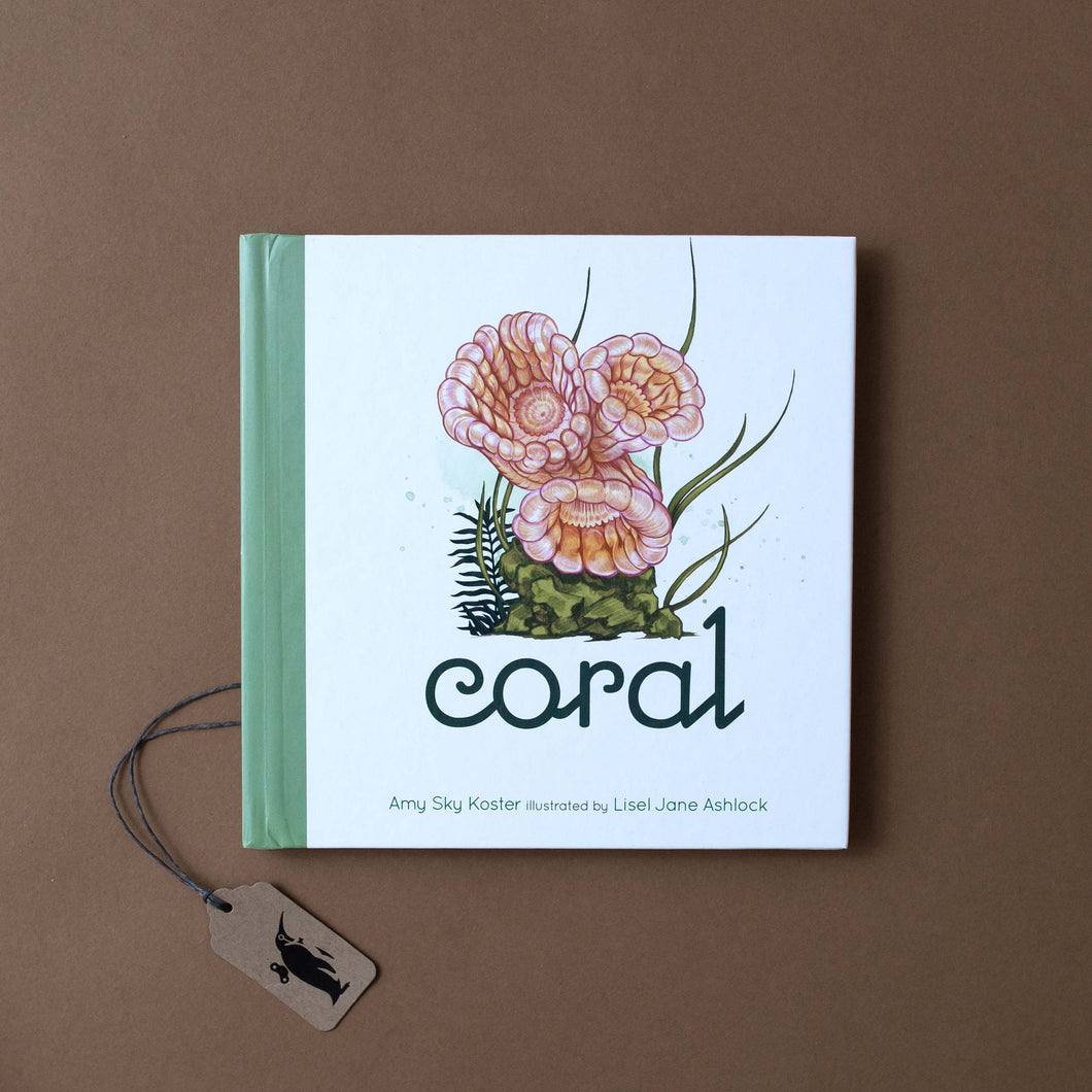 Coral Book - Books (Baby/Board) - pucciManuli