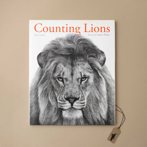 counting-lions-book-front-cover-with-sketched-lion-portrait