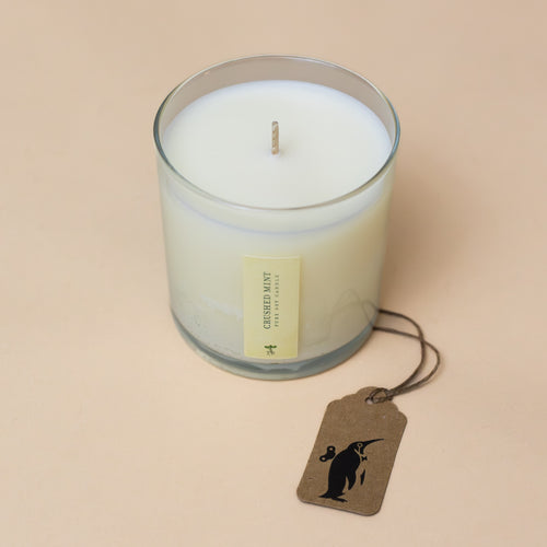 Crushed Mint Candle with Plantable Box