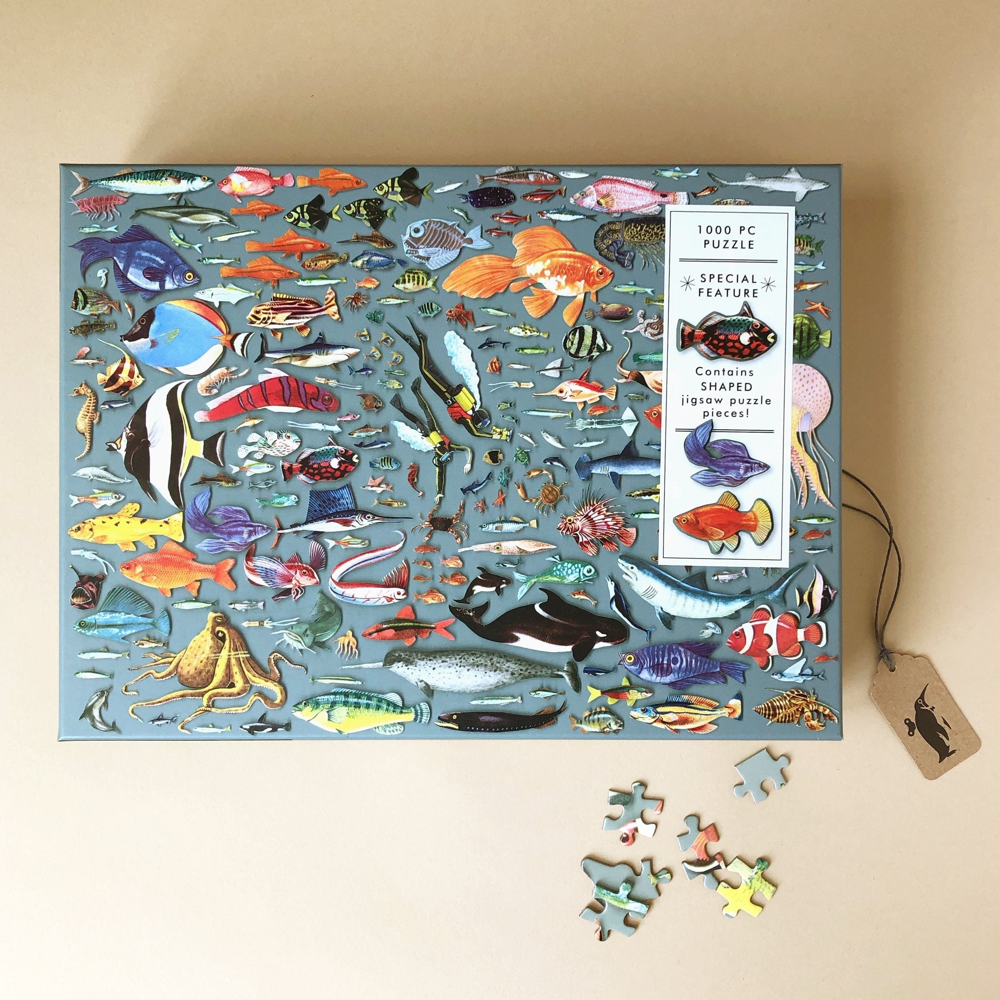 deepest-dive-puzzle-box-front