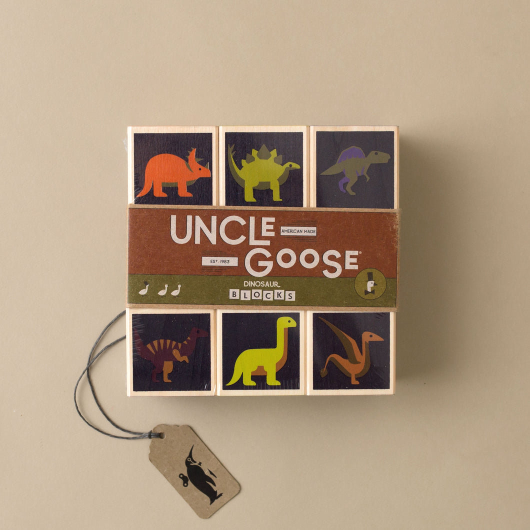 dinosaur-wooden-block-set-nine-blocks-with-illustrations