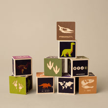 Load image into Gallery viewer, dinosaur-wooden-block-set-with-debossed-and-printed-sides