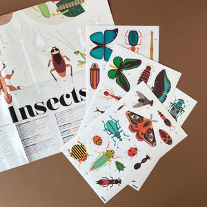 Discovery Sticker Poster | Insects - Arts & Crafts - pucciManuli