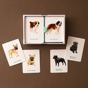 Dogs & Puppies Memory Game - Games - pucciManuli