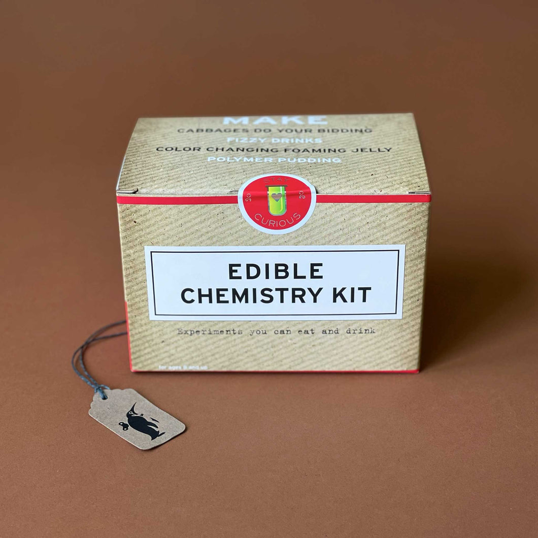 Edible Chemistry Kit - Arts & Crafts - pucciManuli