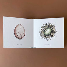 Load image into Gallery viewer, Egg Book - Books (Baby/Board) - pucciManuli