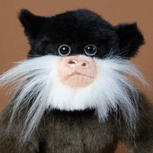 Load image into Gallery viewer, close-up-of-emperor-tamarin-monkey-face
