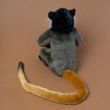 Load image into Gallery viewer, back-view-of-emperor-tamarin-monkey