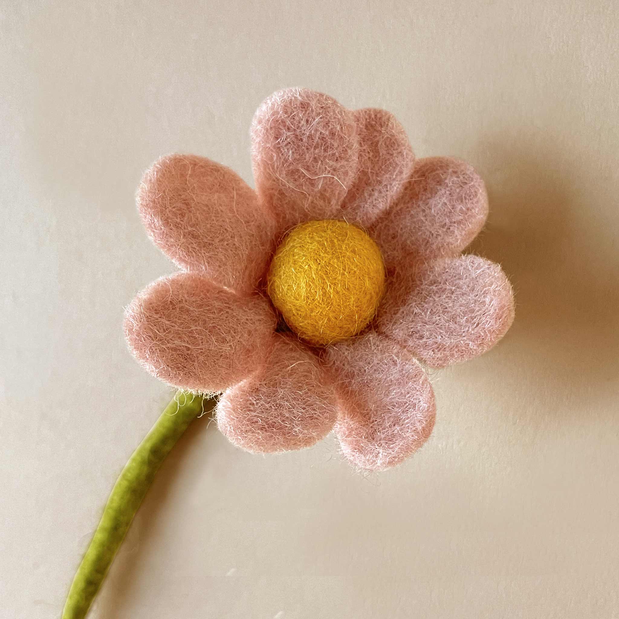 Felt Anemone | Blush - Home Decor - pucciManuli