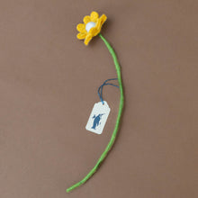 Load image into Gallery viewer, felt-anemone-ochre