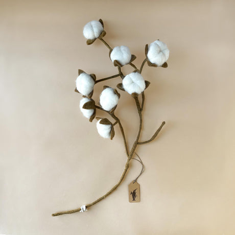 neutral-green-stem-with-cotton-puffs-branching-out