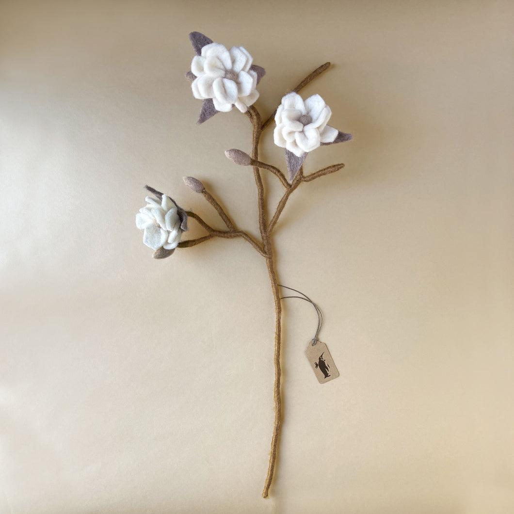 light-brown-branch-with-three-white-magnolia-blooms-nad-four-small-buds