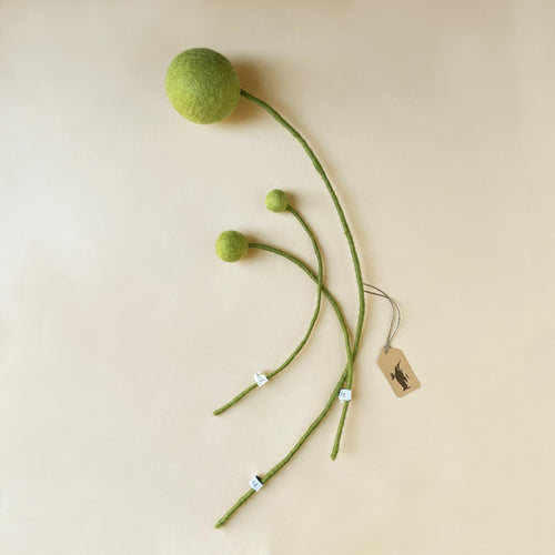 Felt Pom Flower | Green - Home Decor - pucciManuli