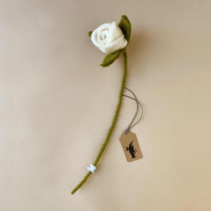 white-rose-flower-on-green-stem