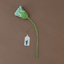 Load image into Gallery viewer, felt-tulip-mint-green
