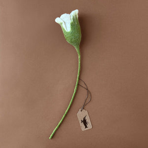 felted-white-tulip-with-long-green-stem