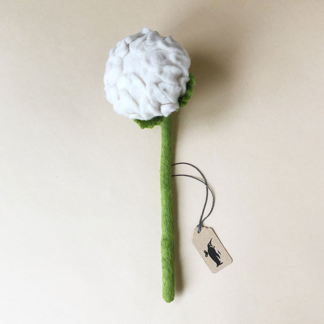 felted-allium-flower-white-with-green-stem