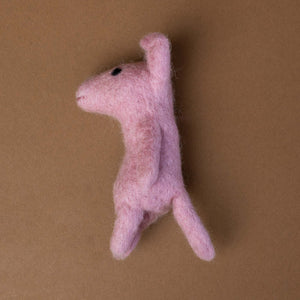 side-view-pink-pig