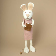 Load image into Gallery viewer, jumbo-sized-white-rabbit-wearing-a-lavender=colored-dress-and-holding-a-brown-book-in-hands