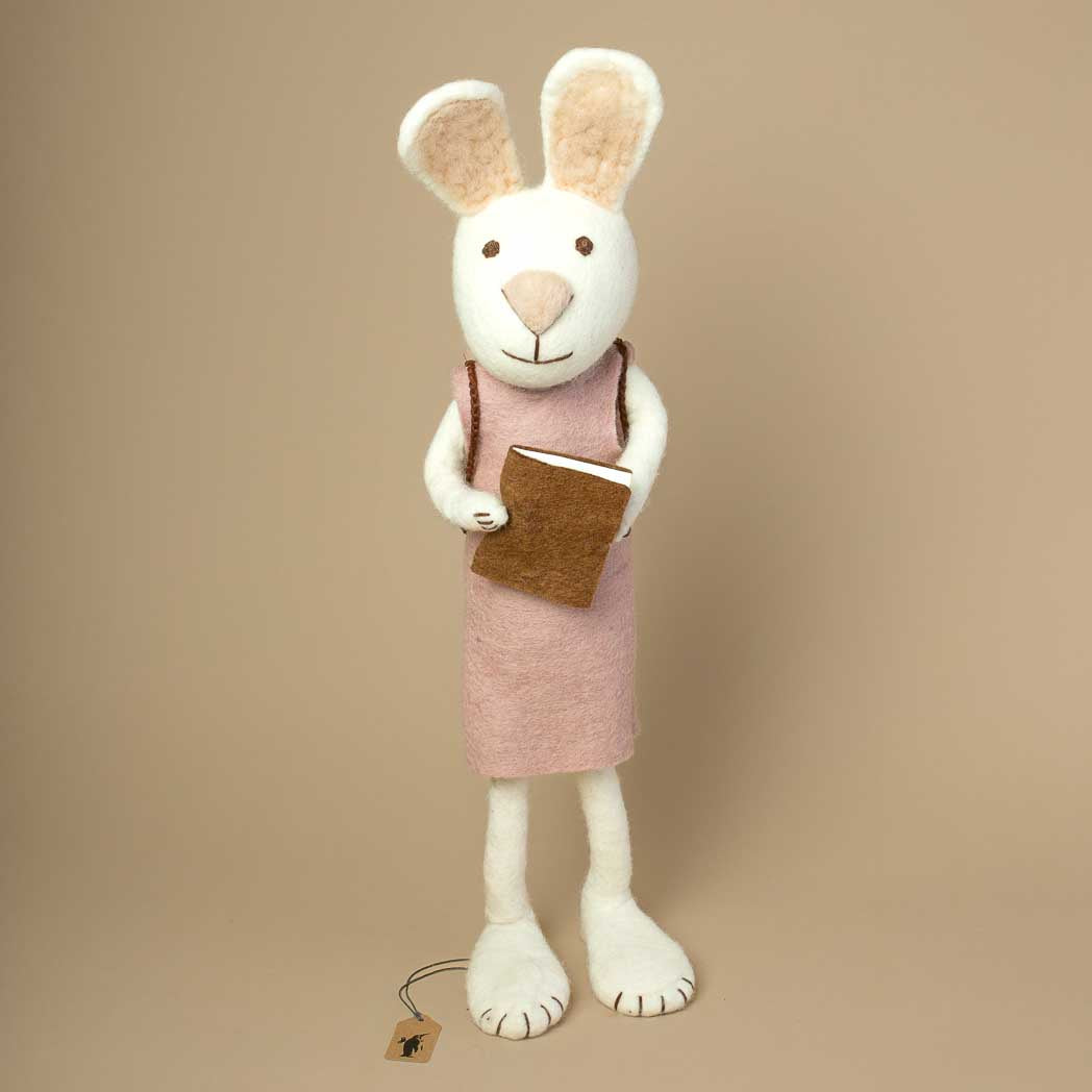 jumbo-sized-white-rabbit-wearing-a-lavender=colored-dress-and-holding-a-brown-book-in-hands